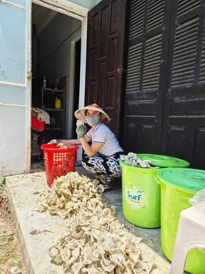 Bán nhà Kiệt Trần Nhân Tông, Hội An – 279 m², 2 tầng, 4,6 tỷ