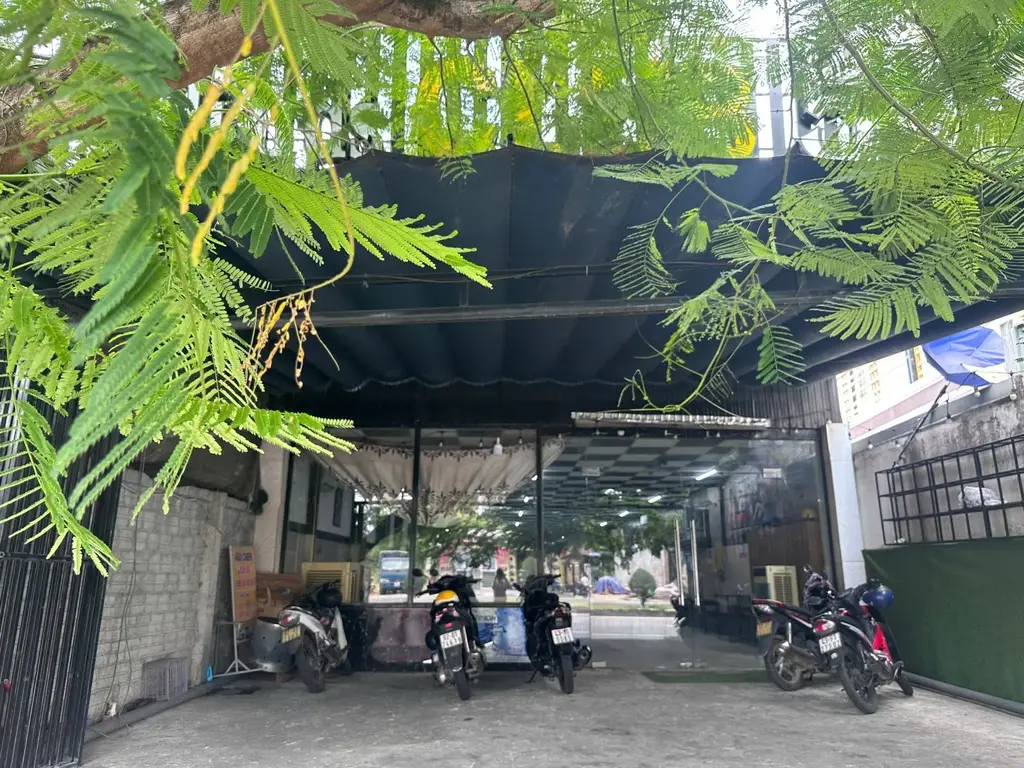 Bán nhà cấp 4 mặt tiền Trần Thủ Độ, Hội An – 293,8 m², 9,1 tỷ – ảnh 5