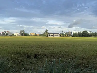 Bán nhà Kiệt Nguyễn Trãi, Hội An – 87 m², 3 tầng, 8,35 tỷ – ảnh 4