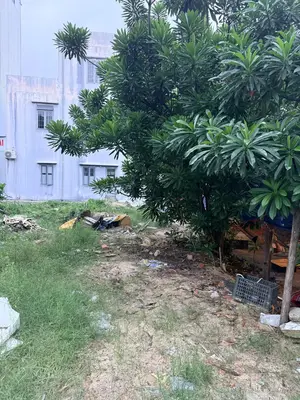 Bán đất mặt tiền Trường Sa, Ngũ Hành Sơn – 100 m², 11,5 tỷ – ảnh 8