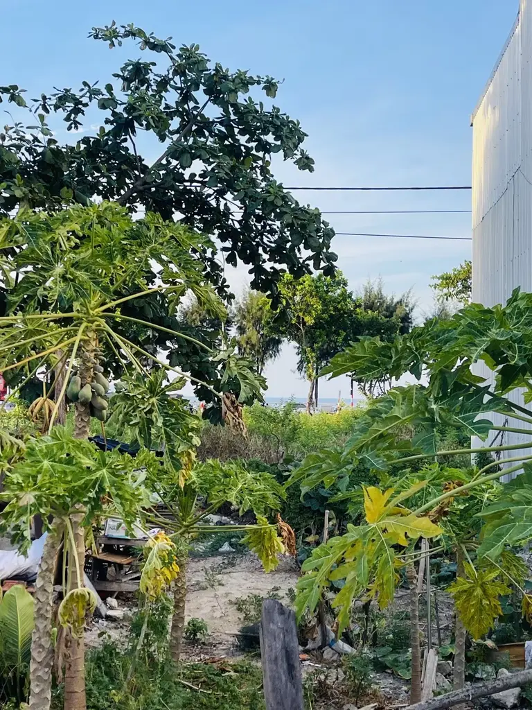 Bán đất mặt tiền Giáp Văn Cương, Liên Chiểu – 72 m², 5,3 tỷ – ảnh 2