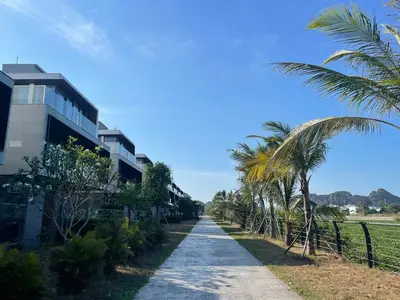 Bán nhà mặt tiền Biệt thự Song Hào, Ngũ Hành Sơn – 300 m², 3 tầng, 38 tỷ – ảnh 2
