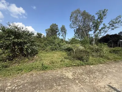 Bán đất Hòa Ninh, Hòa Vang – 8.021 m², 2,3 tỷ