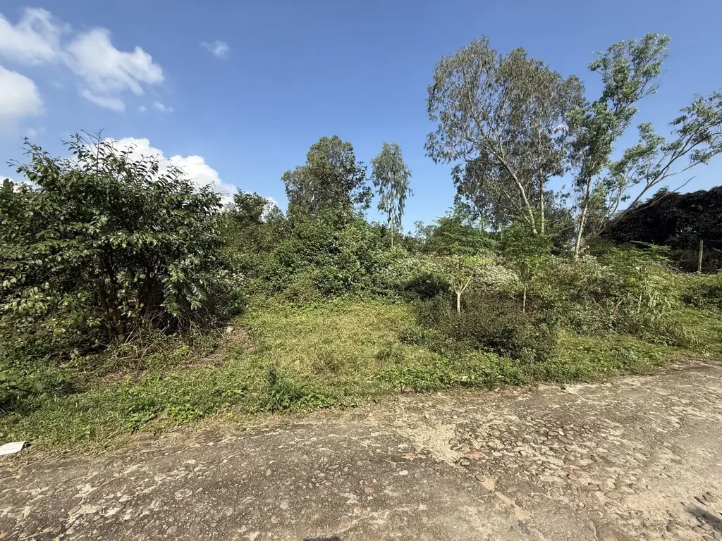 Bán đất Hòa Ninh, Hòa Vang – 8.021 m², 2,3 tỷ – ảnh 2