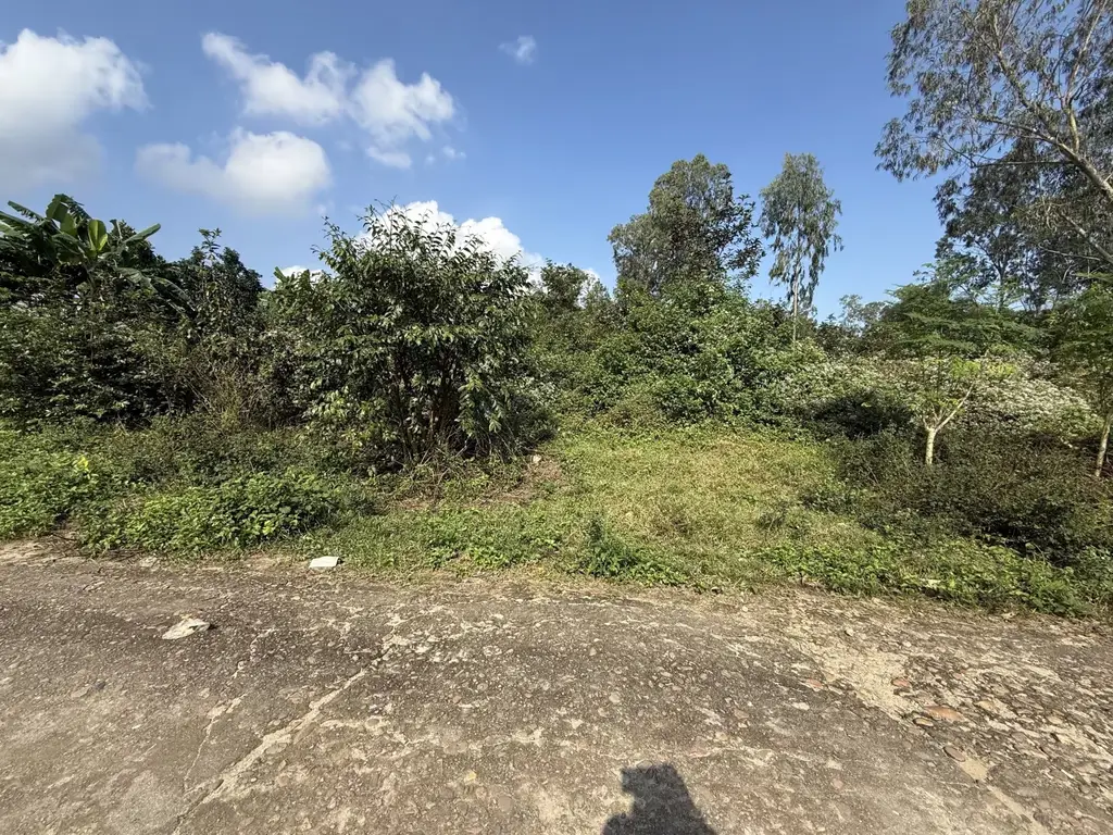 Bán đất Hòa Ninh, Hòa Vang – 8.021 m², 2,3 tỷ – ảnh 5