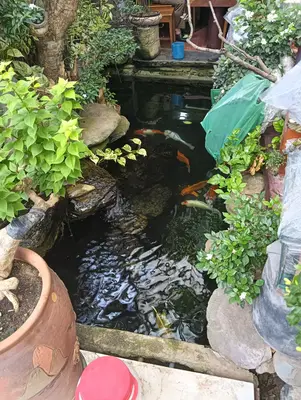 Bán nhà mặt tiền Nam Cao nối dài, Liên Chiểu – 120 m², 2 tầng, 4,97 tỷ – ảnh 4