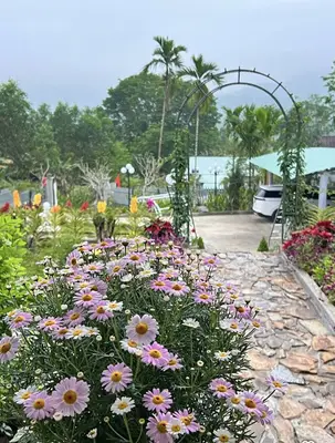 Bán nhà Nông Sơn, Quảng Nam (khu khác) – 2.790 m², 1 tầng, 7,5 tỷ – ảnh 5