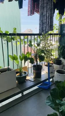 Bán nhà mặt tiền Chung cư Châu Thượng Văn, Hải Châu – 34,2 m², 3 tầng, 2,35 tỷ