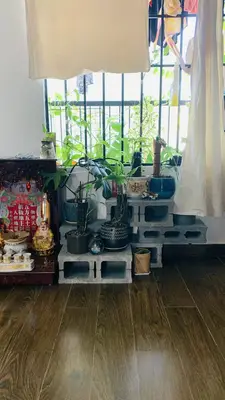 Bán nhà mặt tiền Chung cư Châu Thượng Văn, Hải Châu – 34,2 m², 3 tầng, 2,35 tỷ – ảnh 10