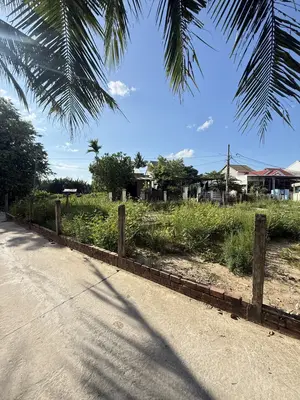 Bán đất Cẩm Thanh, Hội An – 91 m², 2,45 tỷ