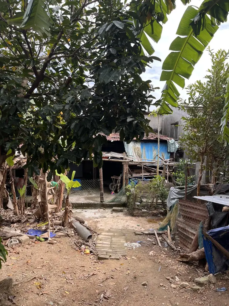 Bán nhà cấp 4 DT601 Hòa Liên, Hòa Vang – 561 m², 2,9 tỷ – ảnh 3