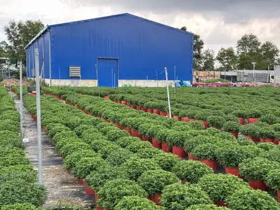 Bán đất mặt tiền Duy Trung Duy Xuyên, Quảng Nam (khu khác) – 203 m², 1,8 tỷ – ảnh 3
