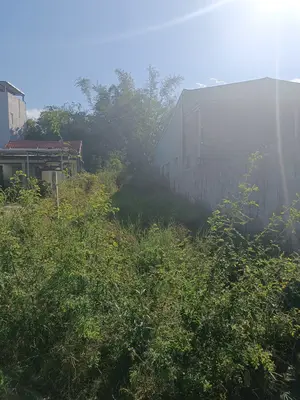 Bán đất Mai Đăng Chơn, Ngũ Hành Sơn – 191,5 m², 3,39 tỷ
