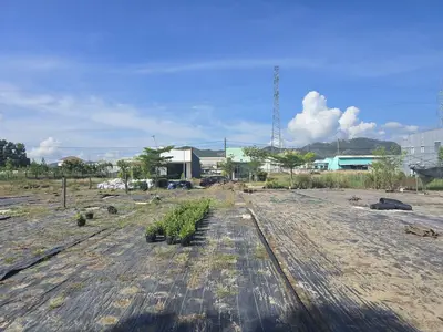 Bán đất mặt tiền Thôn An Trung CỤM CÔNG NGHIỆP TÂY AN, Hội An – 330 m², 2,75 tỷ – ảnh 7