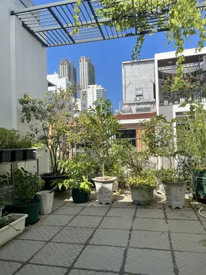 Bán nhà mặt tiền Bùi Hữu Nghĩa, Sơn Trà – 56 m², 3 tầng, 14 tỷ – ảnh 2