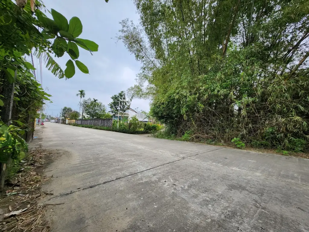 Bán đất Trà Kiểm 1 Thôn Tân Hạnh Xã Hòa Phước Hòa Vang, Hòa Vang – 290 m², 4,35 tỷ – ảnh 4