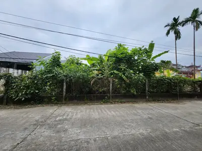 Bán đất Trà Kiểm 1 Thôn Tân Hạnh Xã Hòa Phước Hòa Vang, Hòa Vang – 290 m², 4,35 tỷ – ảnh 11