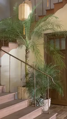Bán nhà mặt tiền Nguyễn Phúc Chu, Hội An – 391 m², 2 tầng, 114 tỷ – ảnh 6