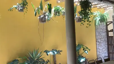 Bán nhà mặt tiền Nguyễn Phúc Chu, Hội An – 391 m², 2 tầng, 114 tỷ – ảnh 9