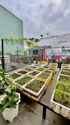 Bán nhà mặt tiền Bùi Giáng, Cẩm Lệ – 180 m², 3 tầng, 15,5 tỷ – ảnh 4