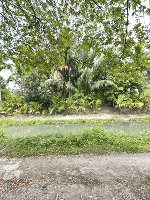 Bán nhà Thôn Xuân Diệm, Điện Bàn – 125 m², 5 tầng, 1,25 tỷ
