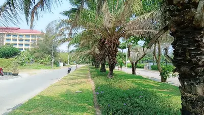 Bán đất Âu Cơ, Cửa Đại, Hội An – 970 m², 63 tỷ