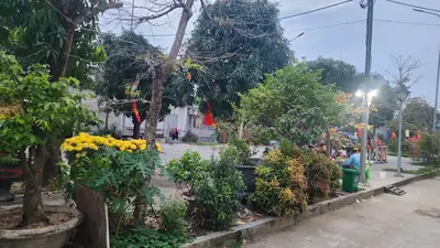 Bán nhà cấp 4 Kiệt Chính Hữu, Sơn Trà – 112,2 m², 9,1 tỷ – ảnh 2