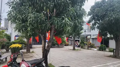 Bán nhà cấp 4 Kiệt Chính Hữu, Sơn Trà – 112,2 m², 9,1 tỷ – ảnh 4