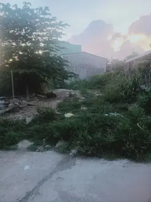 Bán nhà Bông Hòa, Hòa Vang – 145 m², 2,52 tỷ – ảnh 2