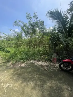 Bán đất Thôn Túy Loan Tây, Hòa Vang – 145 m², 1,9 tỷ