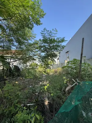 Bán đất Lệ Sơn Hòa Tiến, Hòa Vang – 225 m², 1,6 tỷ – ảnh 2