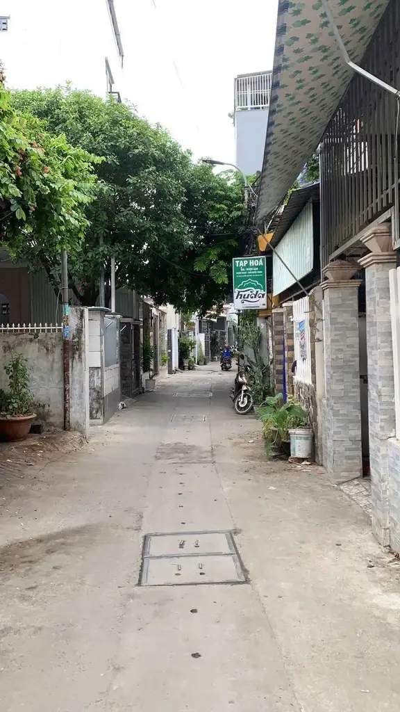Bán nhà cấp 4 Lương Thế Vinh, Sơn Trà – 126,6 m², 10,6 tỷ – ảnh 2