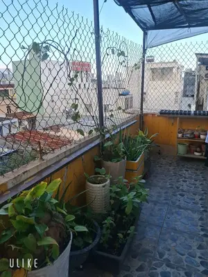 Bán nhà Hoàng Diệu, Hải Châu – 87 m², 5 tầng, 12,6 tỷ – ảnh 7