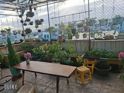 Bán nhà Hoàng Diệu, Hải Châu – 87 m², 5 tầng, 12,6 tỷ – ảnh 9