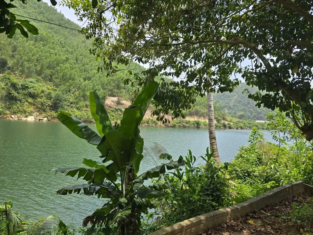 Bán đất Thôn Nam Mỹ Xã Hòa Bắc, Hòa Vang – 4.685 m², 19,5 tỷ – ảnh 2