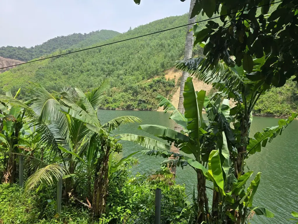 Bán đất Thôn Nam Mỹ Xã Hòa Bắc, Hòa Vang – 4.685 m², 19,5 tỷ – ảnh 5