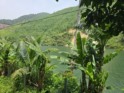 Bán đất Thôn Nam Mỹ Xã Hòa Bắc, Hòa Vang – 4.685 m², 19,5 tỷ – ảnh 5