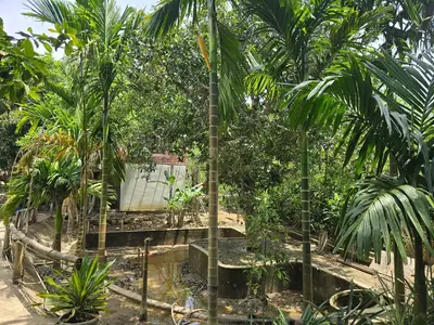 Bán đất Thôn Nam Mỹ Xã Hòa Bắc, Hòa Vang – 4.685 m², 19,5 tỷ – ảnh 6