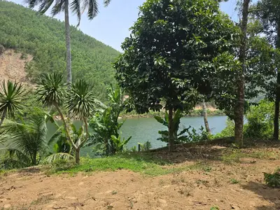Bán đất Thôn Nam Mỹ Xã Hòa Bắc, Hòa Vang – 4.685 m², 19,5 tỷ – ảnh 9