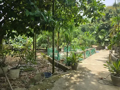Bán đất Thôn Nam Mỹ Xã Hòa Bắc, Hòa Vang – 4.685 m², 19,5 tỷ – ảnh 10