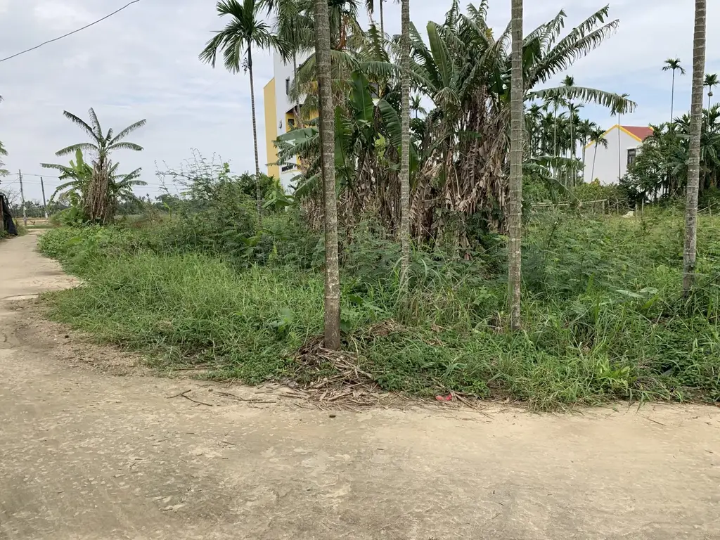 Bán đất Duy Vinh Duy Xuyên, Hội An – 1.112 m², 5,9 tỷ – ảnh 3