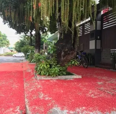 Bán nhà mặt tiền Lê Tấn Toán, Sơn Trà – 235,8 m², 4 tầng, 46,7 tỷ – ảnh 11