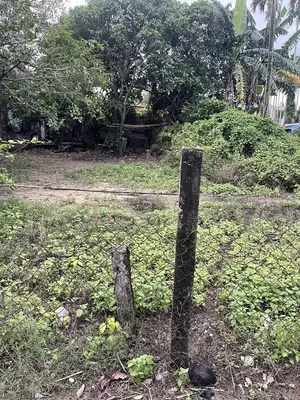 Bán đất Điện Bàn Đông, Hội An – 100 m², 1,8 tỷ – ảnh 3