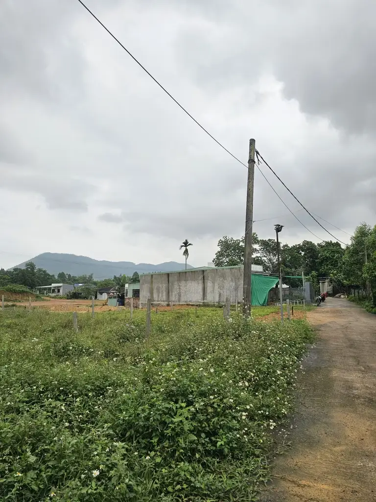 Bán đất Phú Thượng, Hòa Vang – 310 m², 1,95 tỷ – ảnh 2