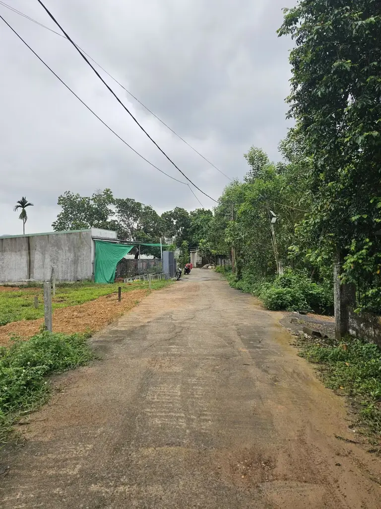 Bán đất Phú Thượng, Hòa Vang – 310 m², 1,95 tỷ – ảnh 4