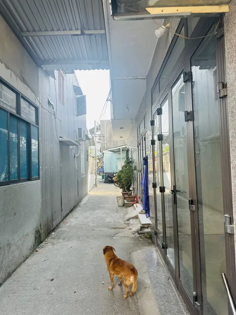 Bán nhà cấp 4 Kiệt Nguyễn Huy Tưởng, Liên Chiểu – 70 m², 3,3 tỷ – ảnh 3
