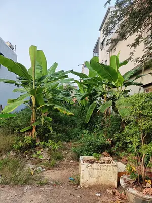 Bán đất Đồng Trí 5, Liên Chiểu – 103 m², 4,6 tỷ