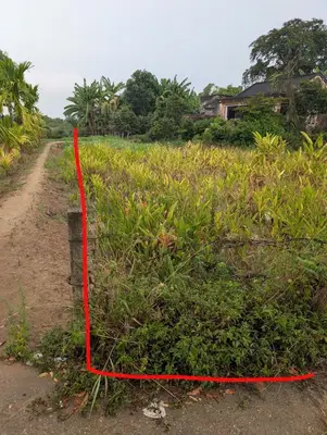 Bán đất Hòa Quý, Ngũ Hành Sơn – 100 m², 1,7 tỷ – ảnh 2