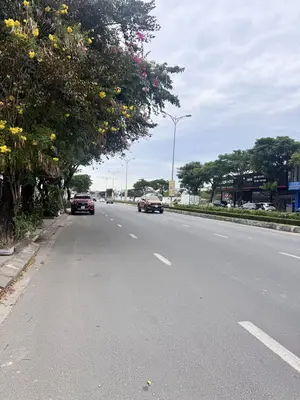 Bán nhà cấp 4 Võ Chí Công, Cẩm Lệ – 277,5 m², 29,6 tỷ