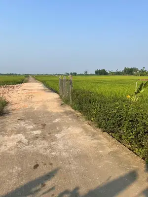 Bán đất Điện Quang, Điện Bàn – 106,1 m², 550 triệu